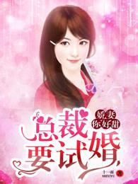 娇妻你好甜:总裁要试婚